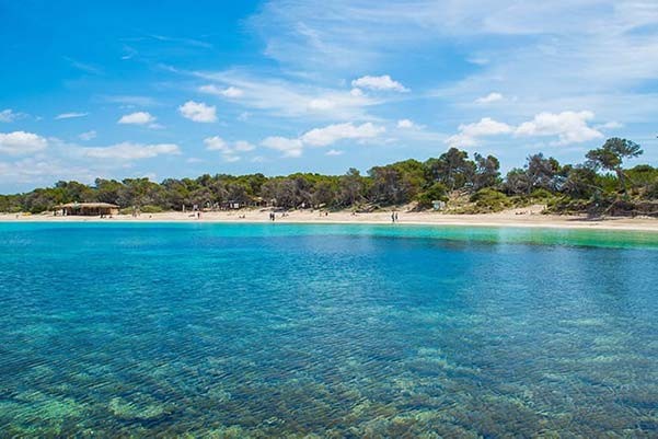 Colonia de Sant Jordi