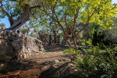 Villa Olivera in Sóller