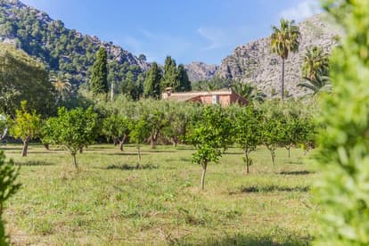 Villa Thera  in Pollensa