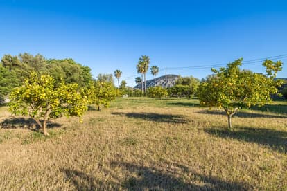 Villa Thera  in Pollensa